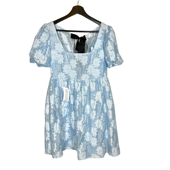 Topshop Dresses & Skirts - NWT Topshop Blue White Floral Sheer Babydoll Short Sleeve Dress 6